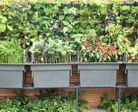 垂直绿色墙壁图片集之Gardenista素材2，设计素材免费下载